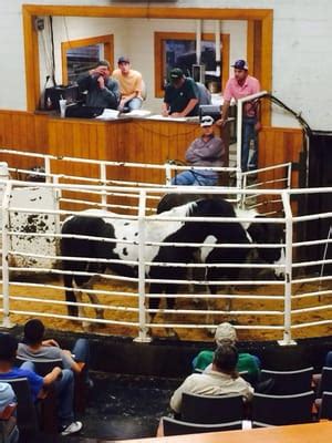 navasota livestock auction report